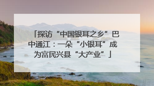 探访“中国银耳之乡”巴中通江：一朵“小银耳”成为富民兴县“大产业”